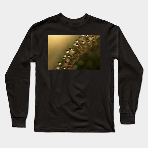 Evening Sundew Long Sleeve T-Shirt by SharonJ